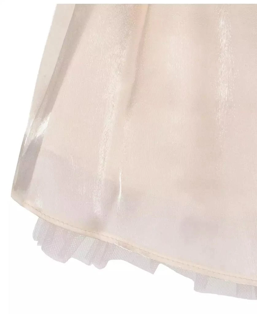Rare Editions Baby Girls Shimmer Organza Social Dress 4