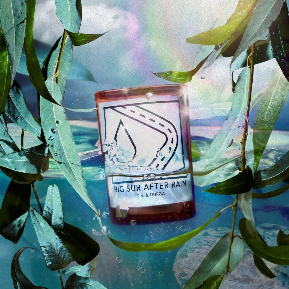 D.S.
Durga Big Sur After Rain Candle 4