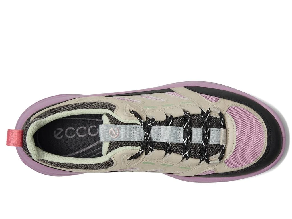 ECCO Offroad Lace Up 2
