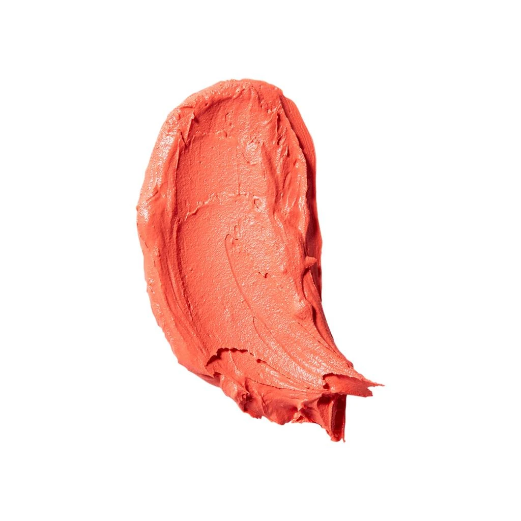 Jillian Dempsey Cheek Tint 6
