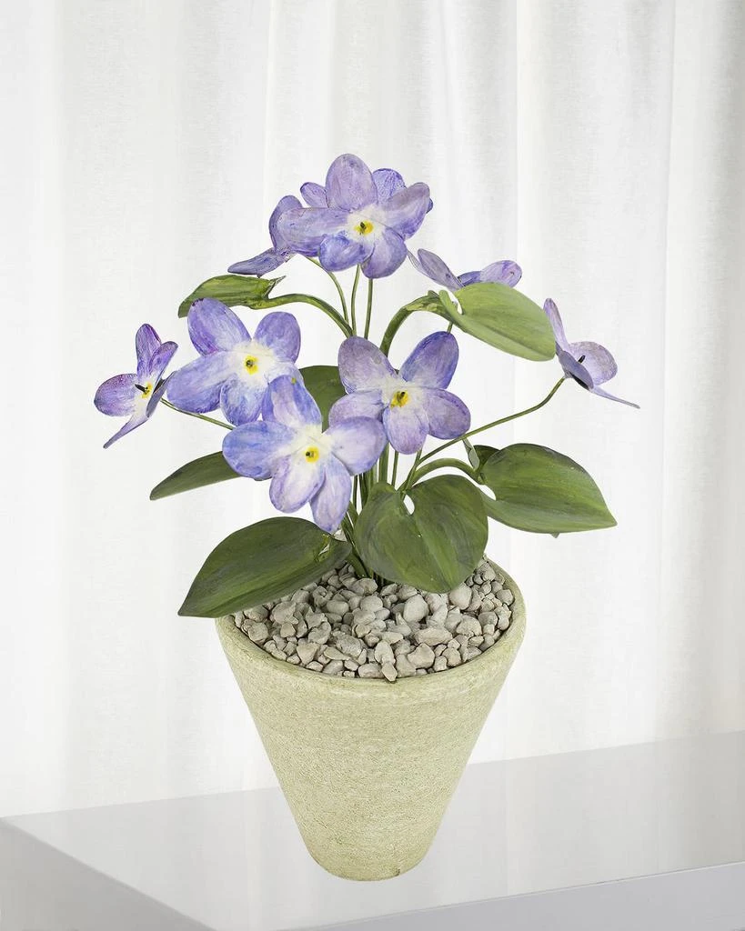 Tommy Mitchell Violet February Birth Flower in White Terracotta Pot 1