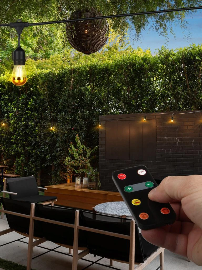 Brightech Dimmer with Remote for 
s Ambience Pro LED String Lights 5