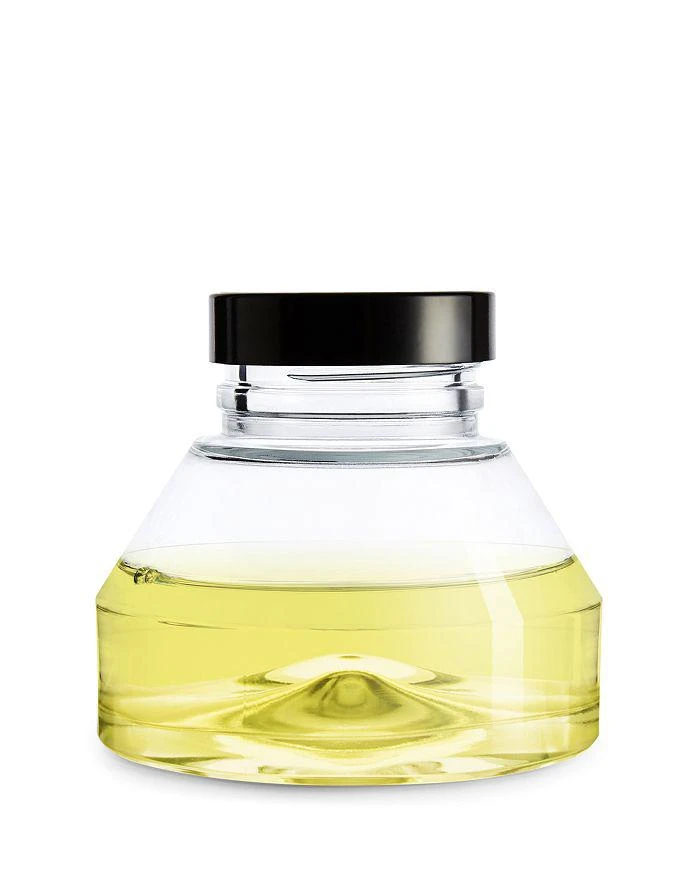 Diptyque Gingembre (Ginger) Fragrance Hourglass Diffuser 2