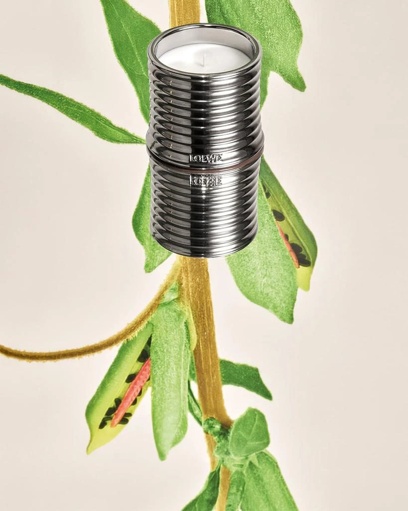 Loewe LOEWE Black Sesame Midi Scented Candle 4