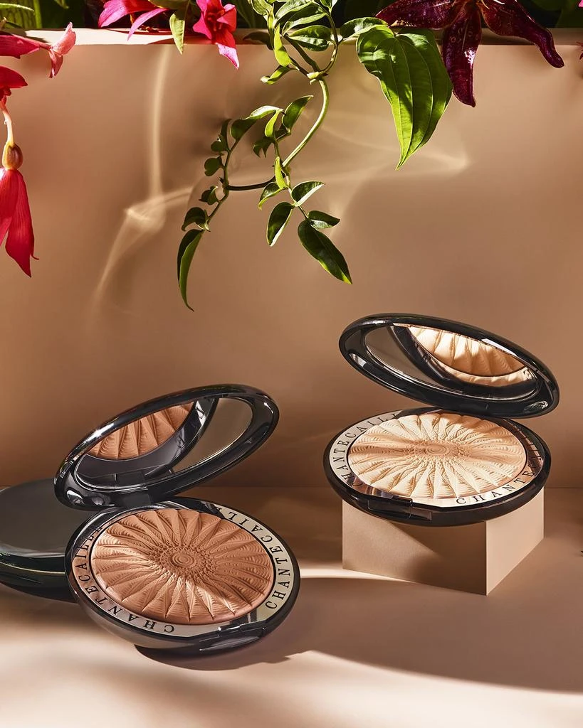 Chantecaille Perfect Blur Finishing Powder 3