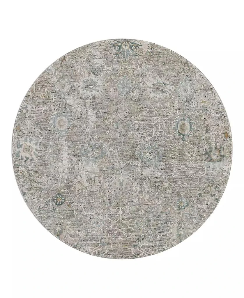 Surya Brunswick BWK-2315 5'3" x 5'3" Round Area Rug 1