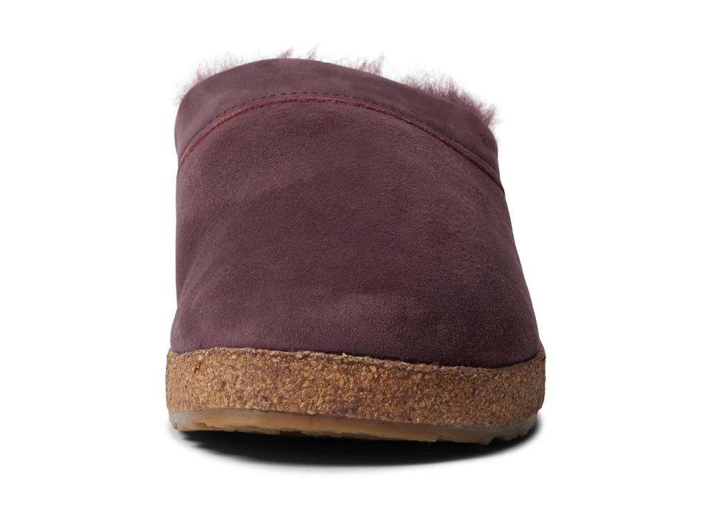 Haflinger Snowbird 6