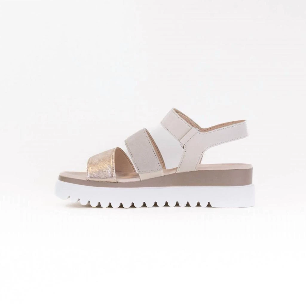 Gabor Gabor - Women's Wedge Sandal 6