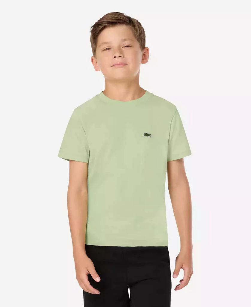 Lacoste Big Boys Short-Sleeve Cotton Core T-Shirt 9