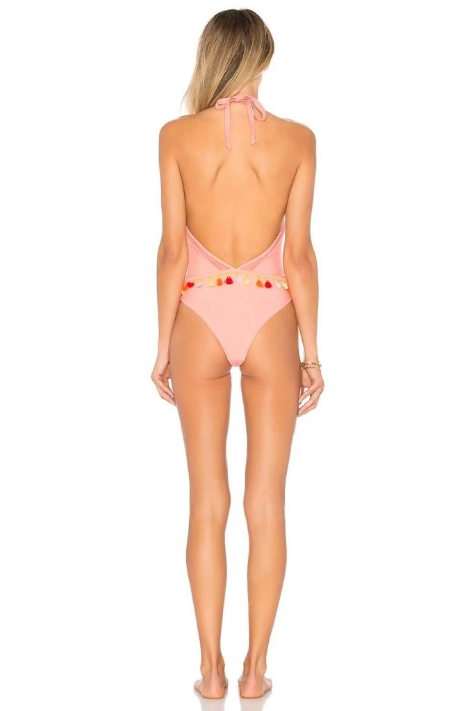 Tularosa Frida One Piece Swimsuit In Terracotta 3