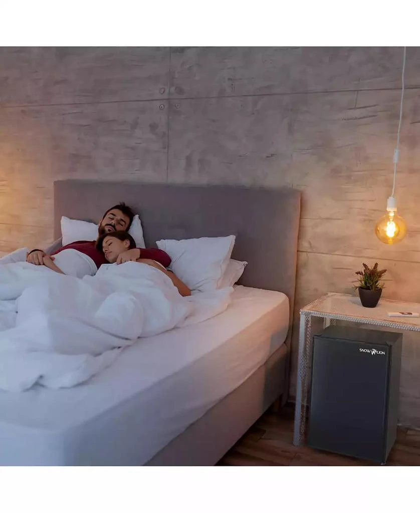 SnowLion Premium 65L Solid Door 2.3 Cu.ft. Freestanding Under-Counter Mini Fridge in Black 5