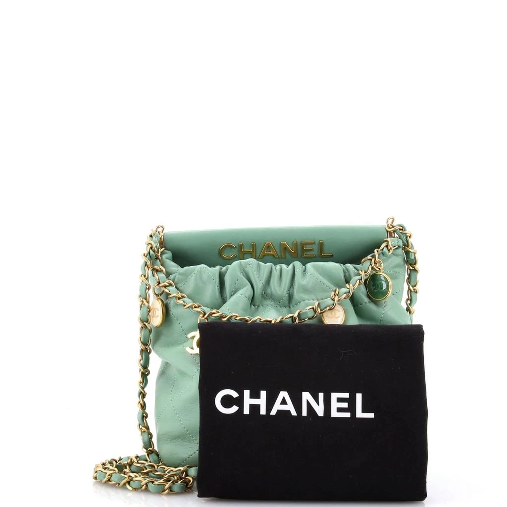 Chanel Resin Charms Chain Bucket Bag Quilted Lambskin Small 2