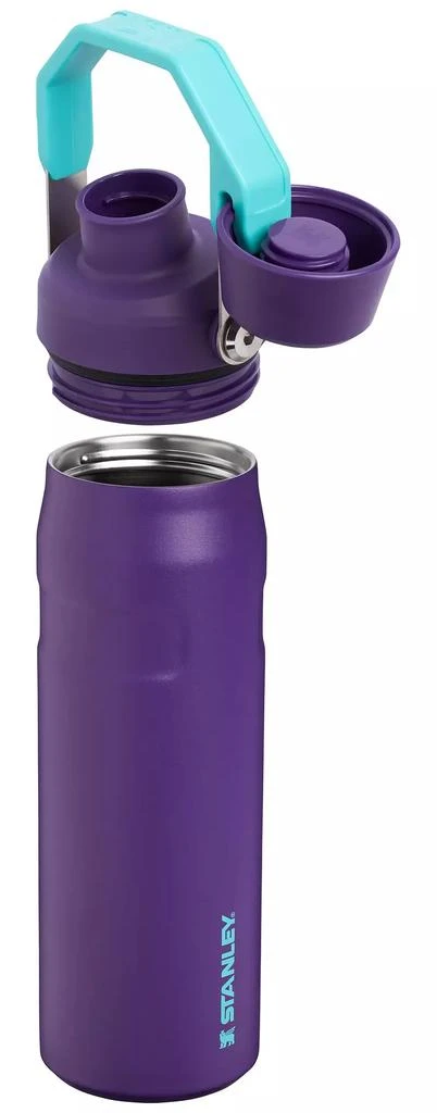 Stanley Stanley 24 oz. IceFlow Bottle with Fast Flow Lid 3