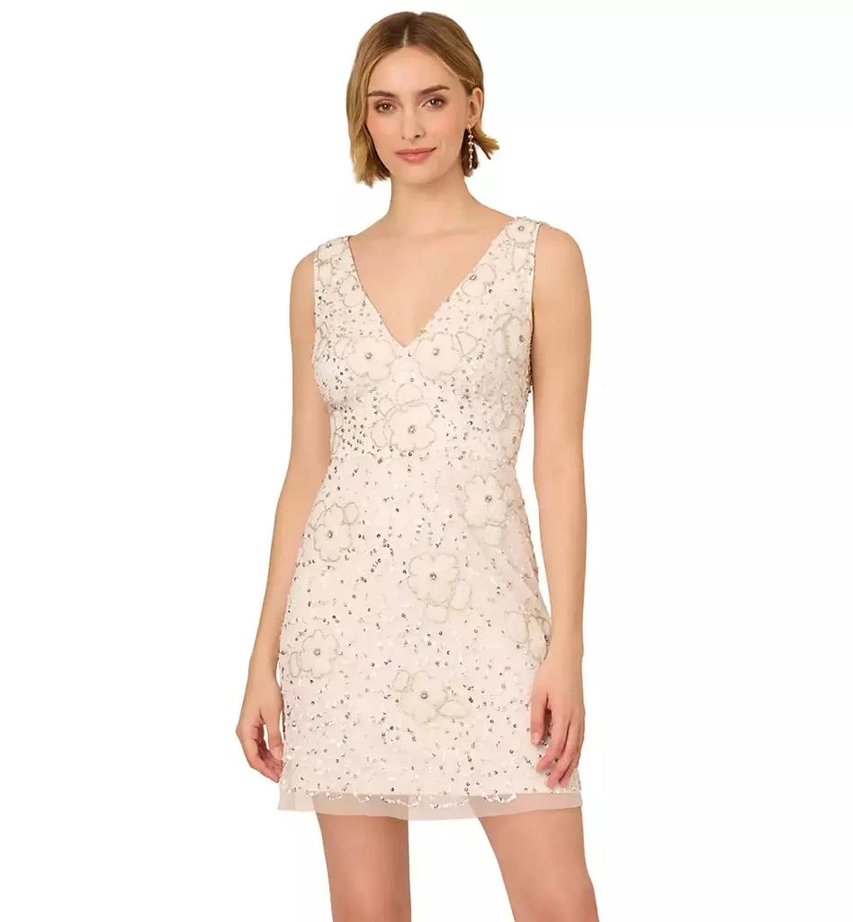 Adrianna Papell Women's Beaded Mesh V-Neck A-Line Dress 4