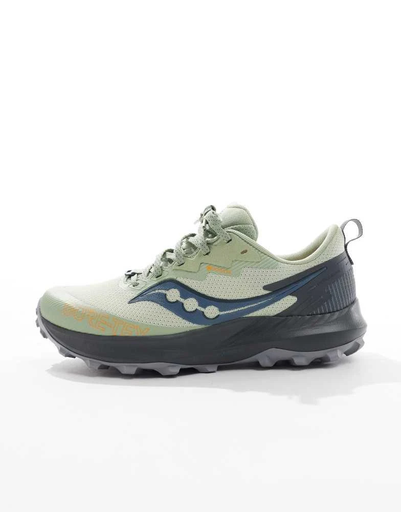Saucony Saucony Peregrine 14 GTX neutral running trainers in sage 2