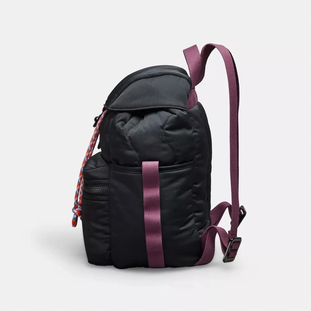 Coach Coachtopia Loop Mini Backpack 3