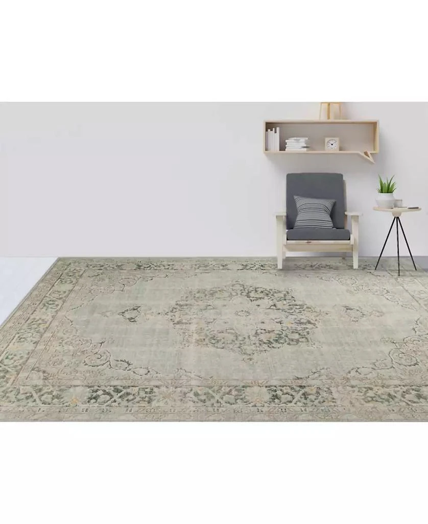 Amer Rugs Century CEN-21 Aqua 5'3" x 7'3" Area Rug 5