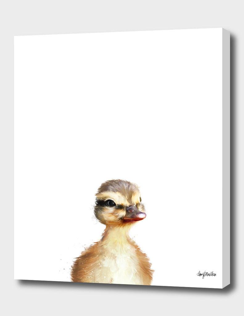 Curioos Little Duck