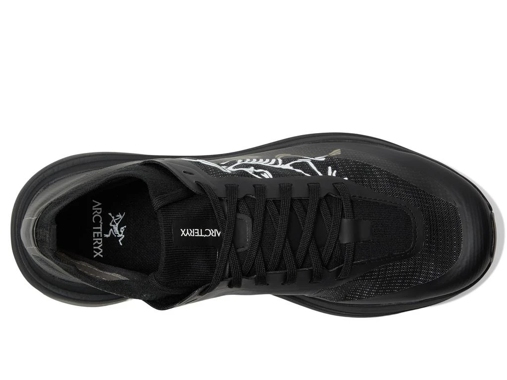 Arc
teryx Sylan Pro 2