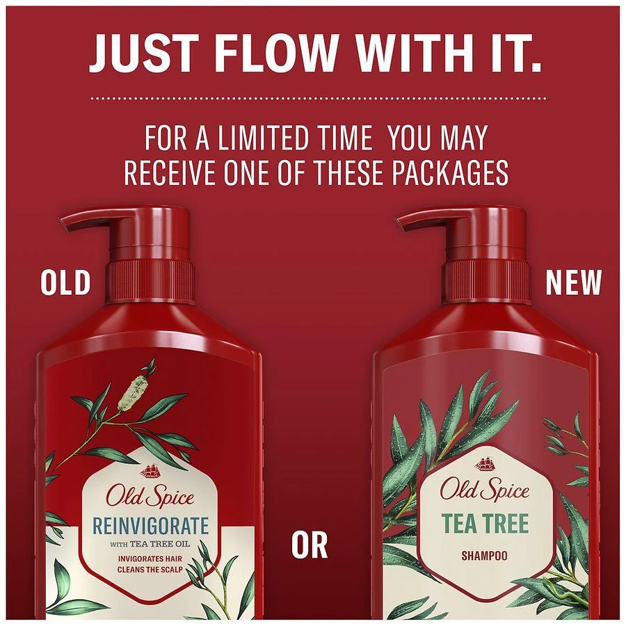 Old Spice Shampoo for Men, Cooling, Removes Built Up Dirt and Oil, Mint 5