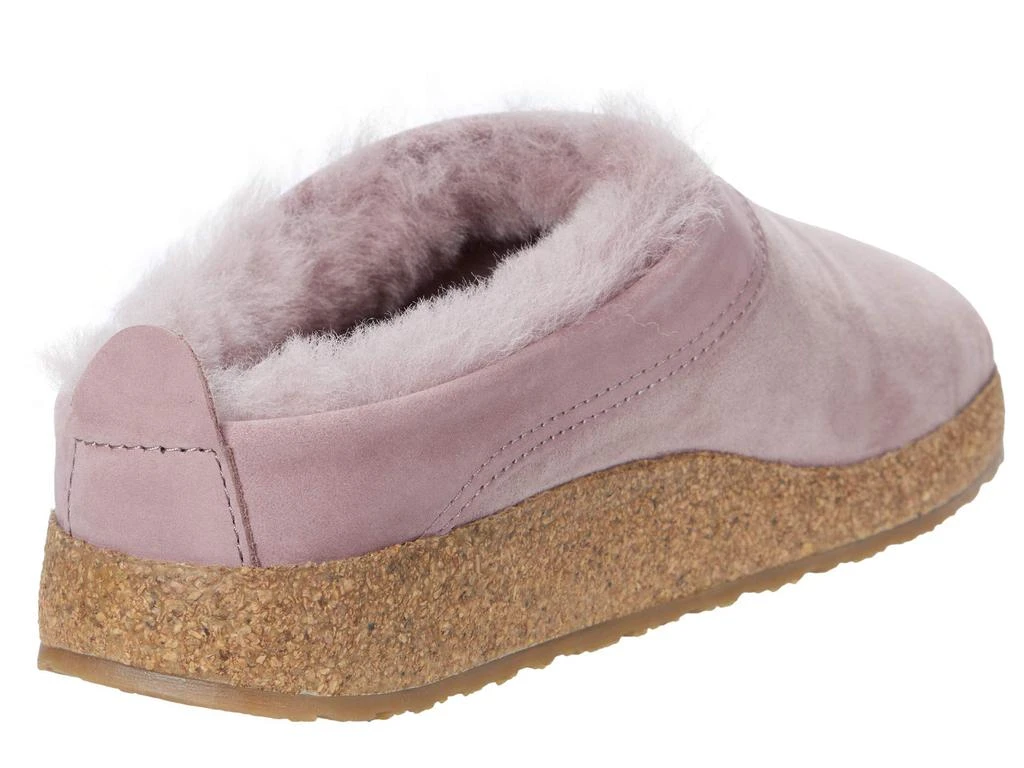 Haflinger Snowbird 5