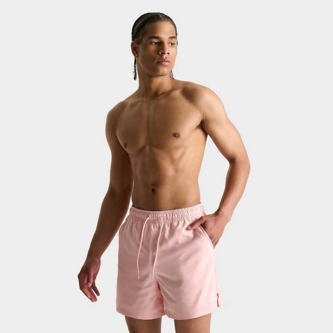 Jordan Men's Jordan Essentials 5" Poolside Shorts 1
