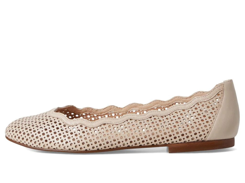 French Sole Nymph 4