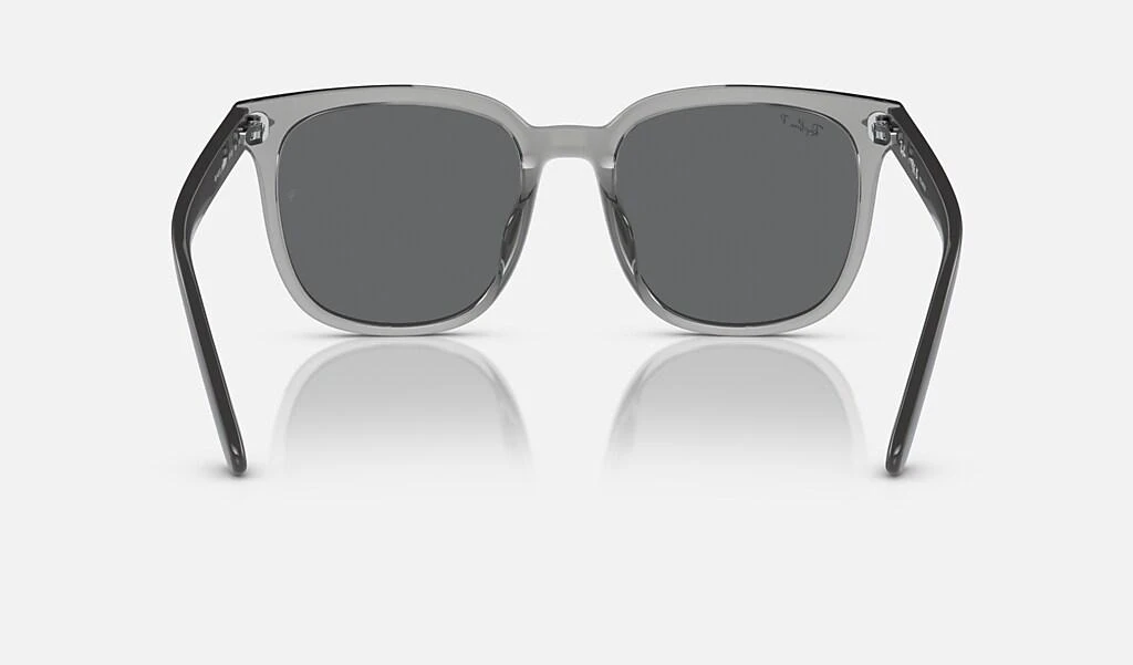 Ray-Ban RB4401D 5