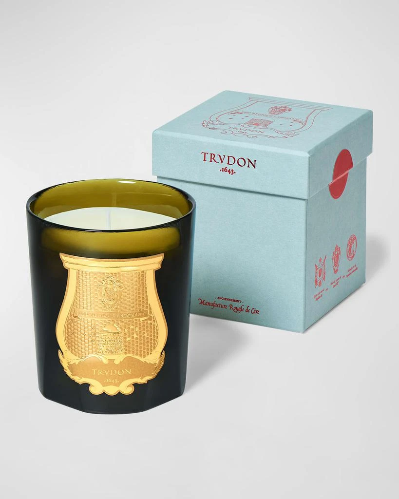 Cire Trudon Abd El Kader Grand Candle, Moroccan Mint Tea, 2.8 kg 2
