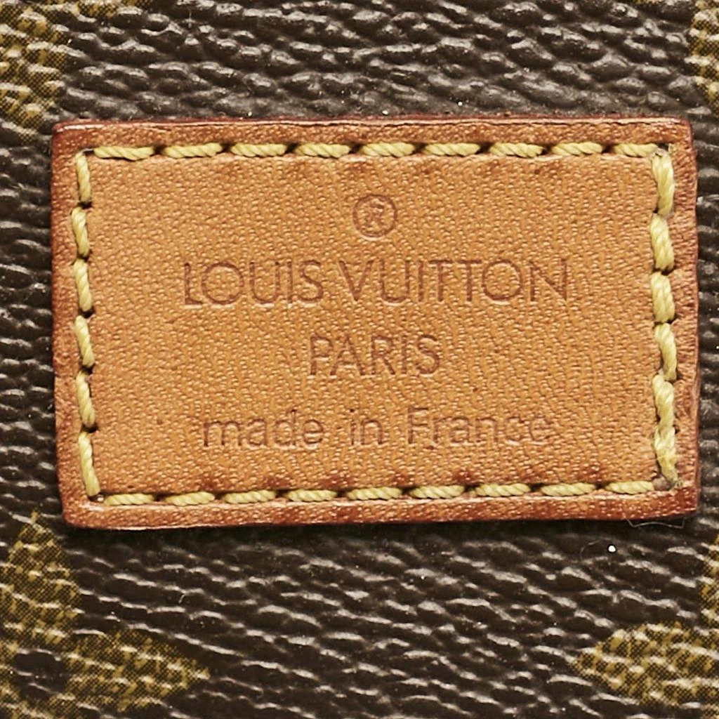 Louis Vuitton Louis Vuitton Monogram Canvas Sofia Coppola Flore Saumur 30 Bag 26