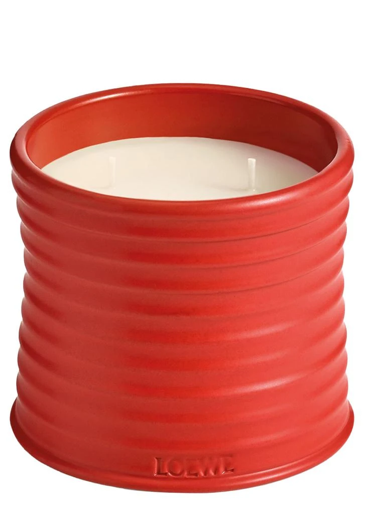 Loewe Tomato Leaves Candle - Medium 610g 1