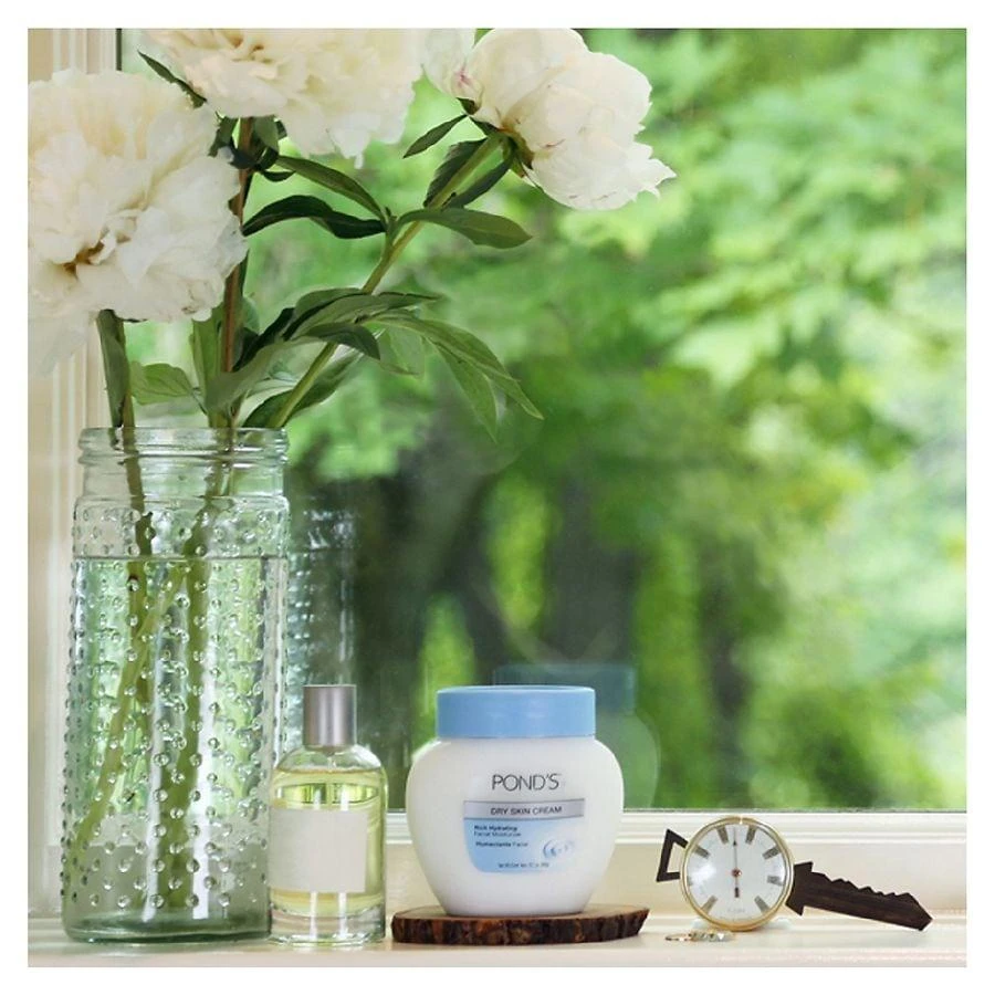 POND'S Face Cream Dry Skin 6