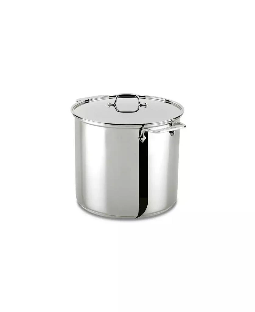 All-Clad Stainless Steel 16 Qt. Stockpot with Lid 2