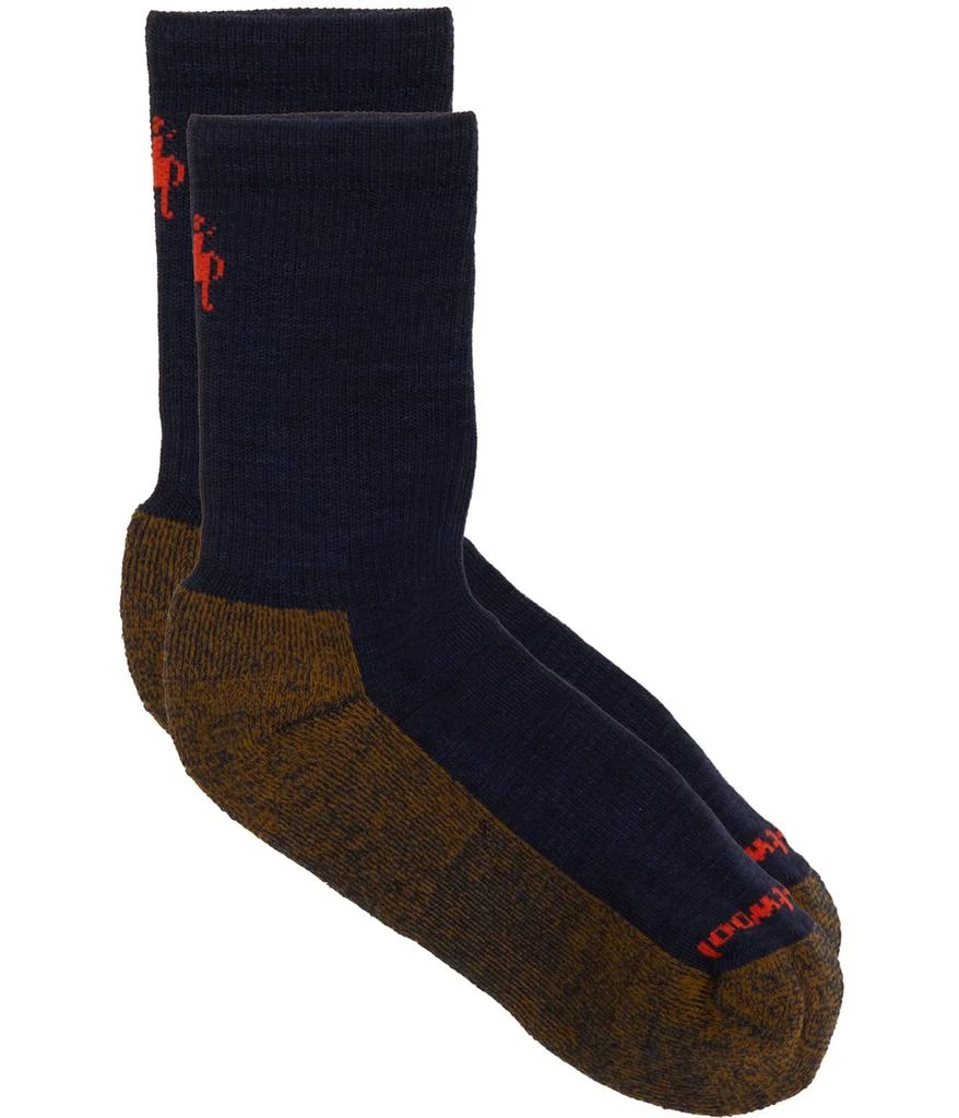 SmartWool Smartwool Kids Hike Light Cushion Crew (Toddler/Little Kid/Big Kid)