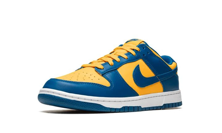 NIKE Nike Dunk Low Retro 5