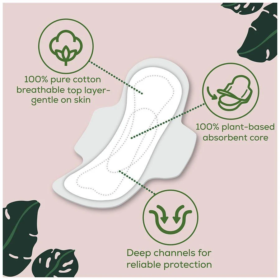 L. Ultra Thin Pads, 100% Pure Cotton Top Layer, with Wings Overnight Absorbency No Scent, Extra Long 3