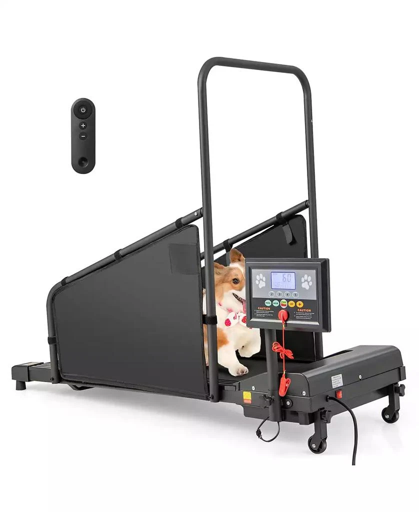 Indoor Pet Exercise Equipment with Remote Control – On Sale Now with Up ...