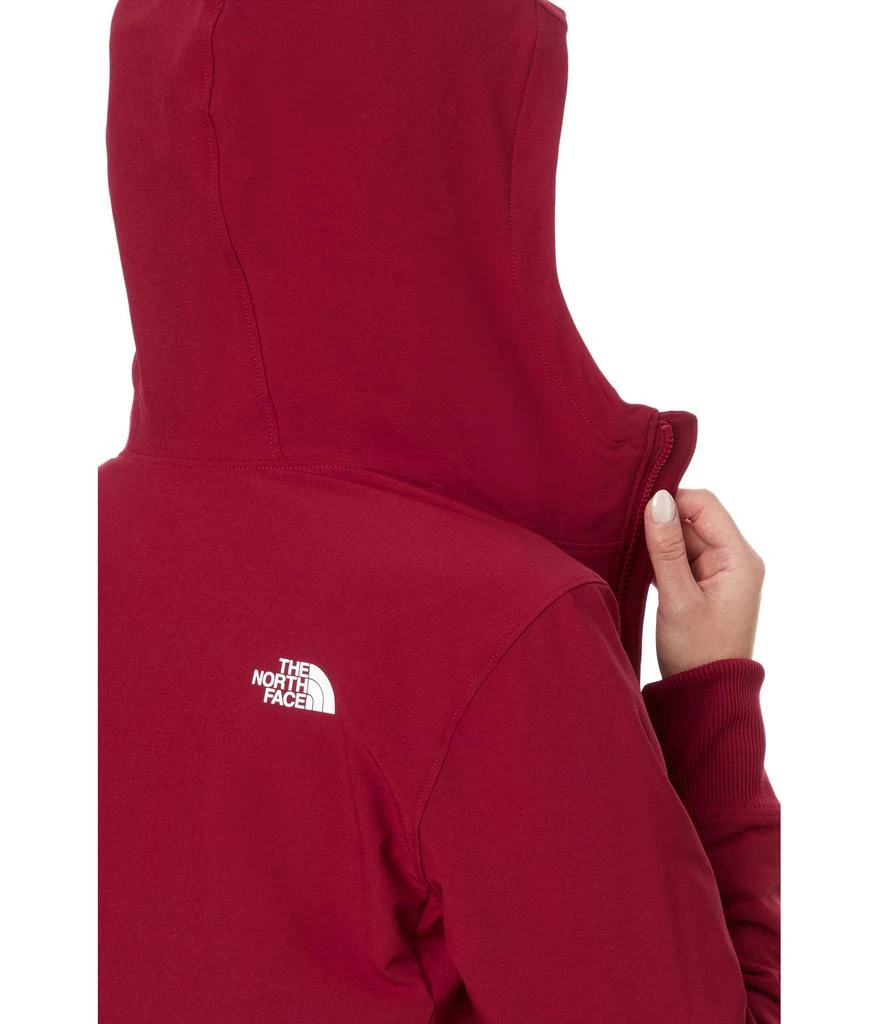 The North Face Shelbe Raschel Hoodie 3
