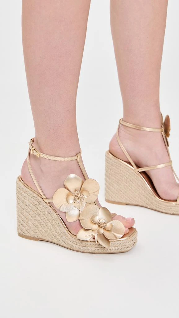 Zimmermann Orchid Wedge 110 4