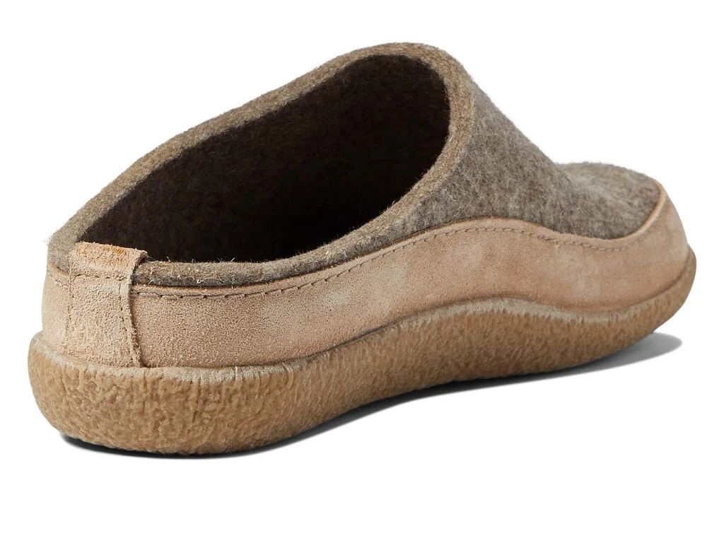 Haflinger Skane 5