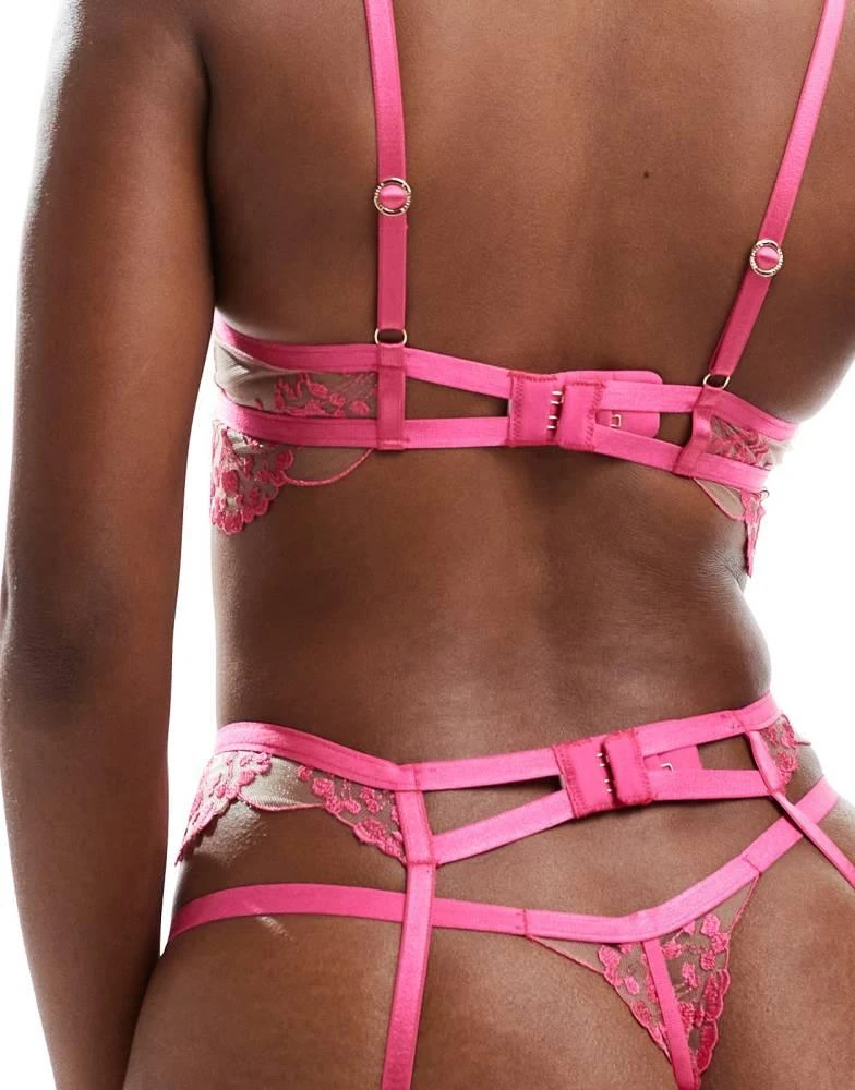 BLUEBELLA Bluebella Marissa lace suspender belt in pink 4