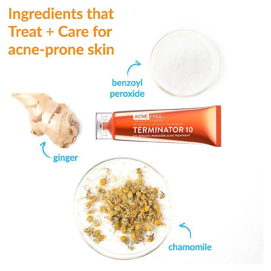 AcneFree Terminator 10 Acne Spot Treatment with Benzoyl Peroxide 4