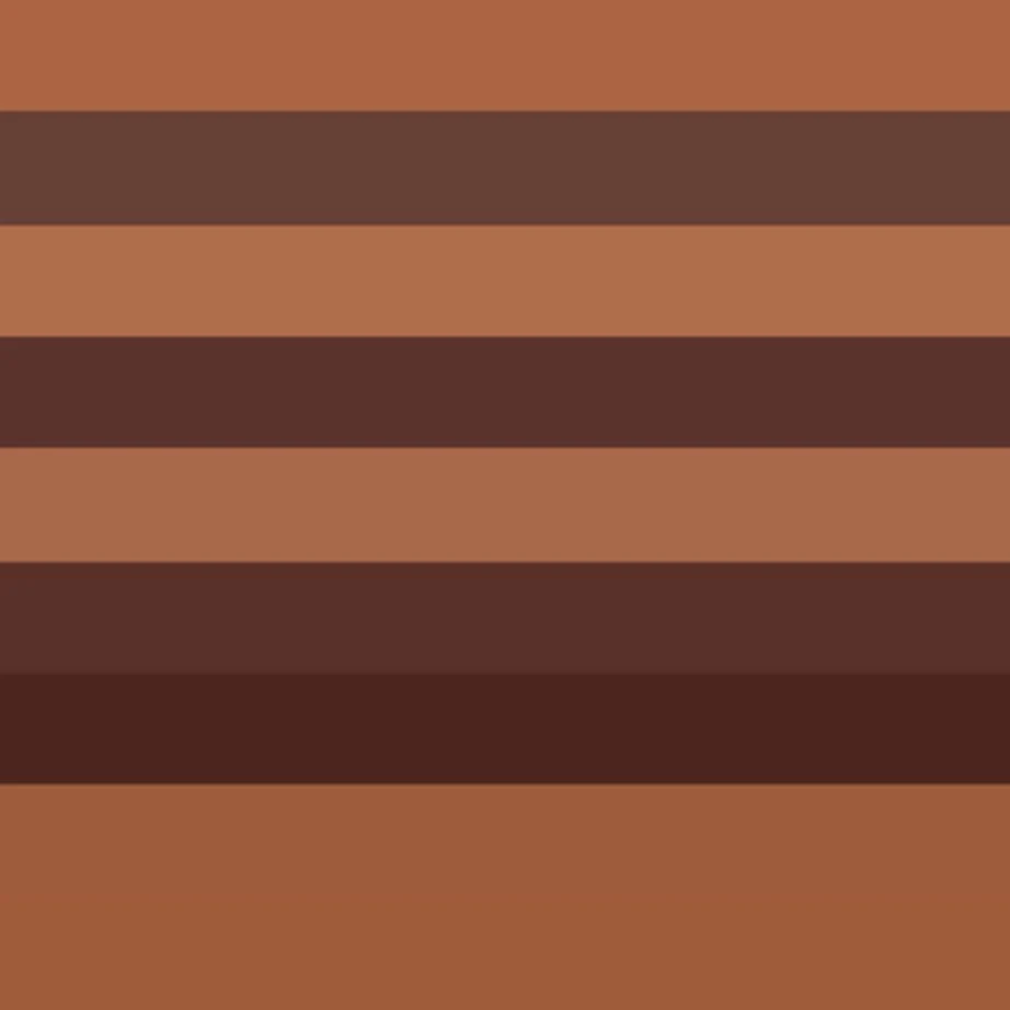 Pierre Marcolini Pralinés Anciens d'Aujourd'Hui 36-Piece Selection Box (234g) 4