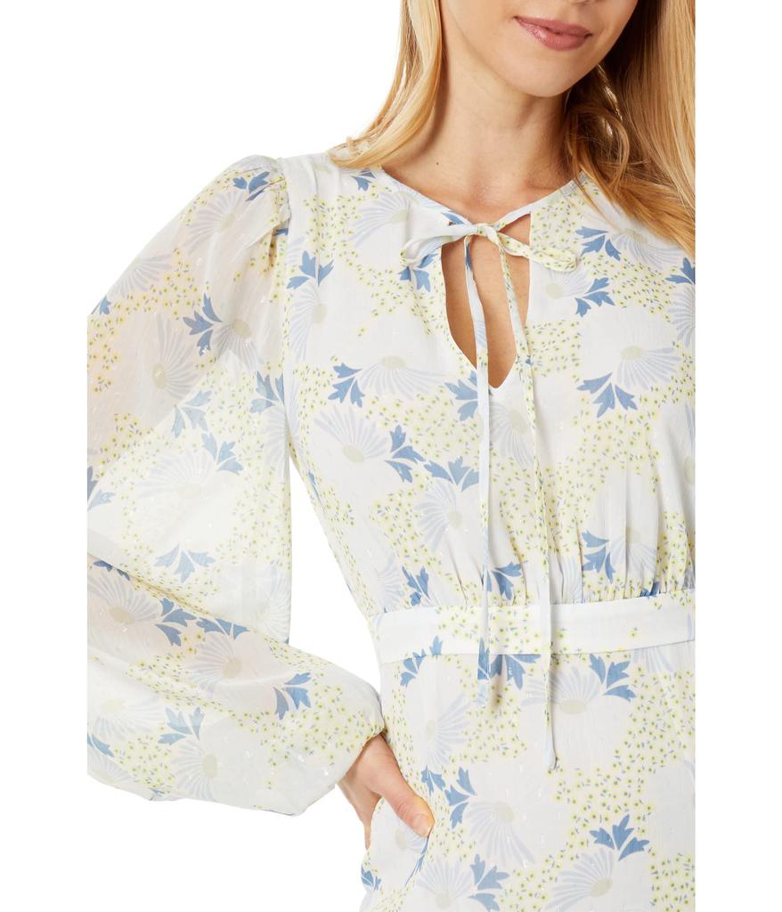Ted Baker London Suziiee Waisted Mini Dress with Asymmetric