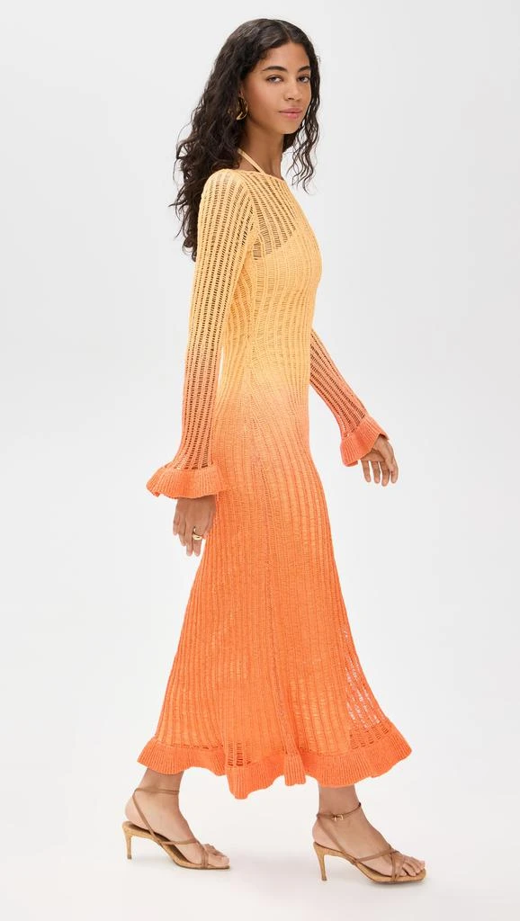 Significant Other Amaya Maxi Dress 4