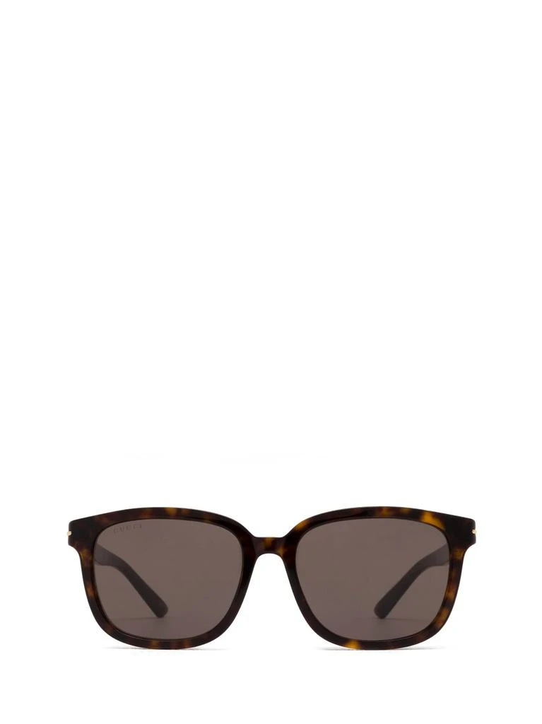 Gucci Eyewear Gg1505sk Havana Sunglasses 1