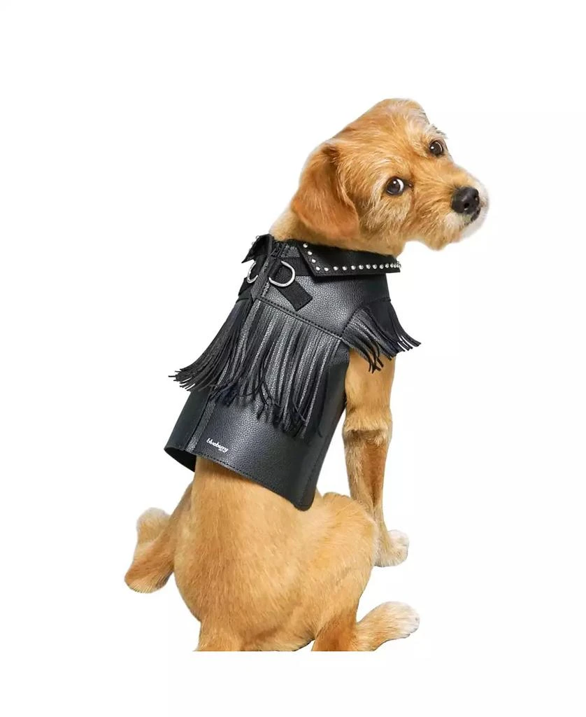 Blueberry Pet Silver-Powered Freshness Microfiber Leather Dog Harness Jacket 4