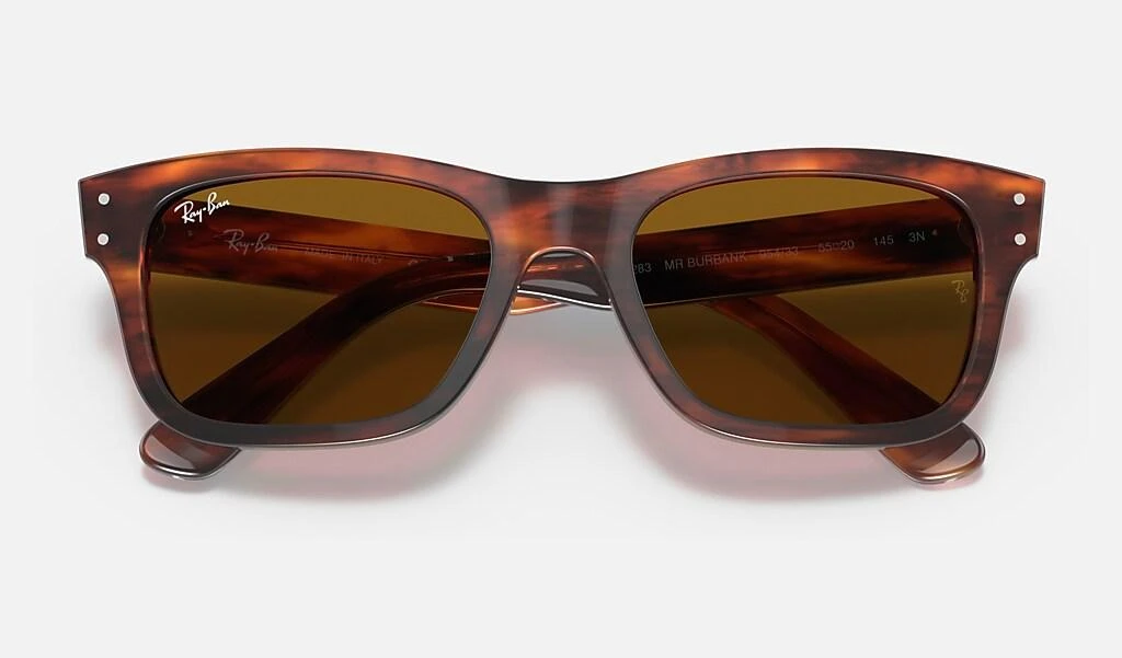 Ray-Ban BURBANK 5
