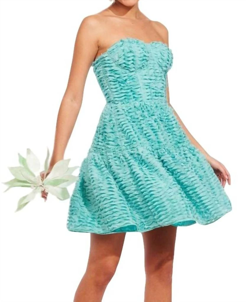 Eva Franco Eva Franco - Cossette Dress 4