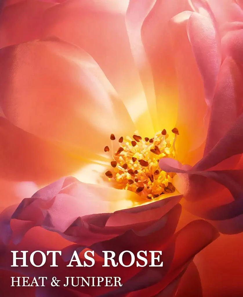 Lancôme Absolue Hot As Rose Eau de Parfum, 3.4 oz. 4